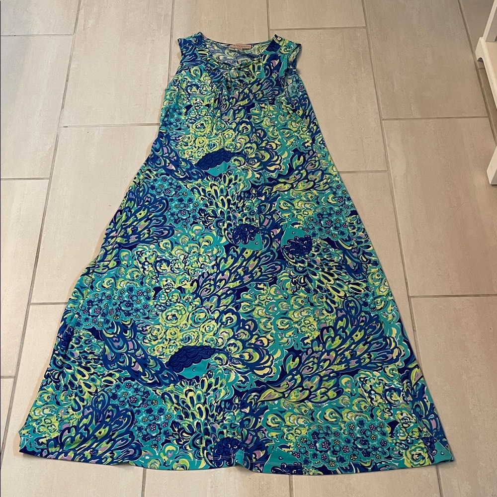 Philosophy Blue and Green Maxi Dress